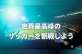 6/21(日) 日産スタジアムでFIFA ワールドカップ2026 パブリックビューイングを開催！