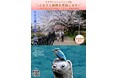 【横浜市】【第二弾】吉田兼好の歌にも詠まれた「いたち川」を未来へ＜クラウドファンディング型ふるさと納税７月３日スタート！＞