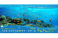 【毎年大好評！横浜で沖縄の海を体験】2026年8月8日（土）、9（日）に「つるみ・ちゅらうみ サマースクール2026」を開催します！