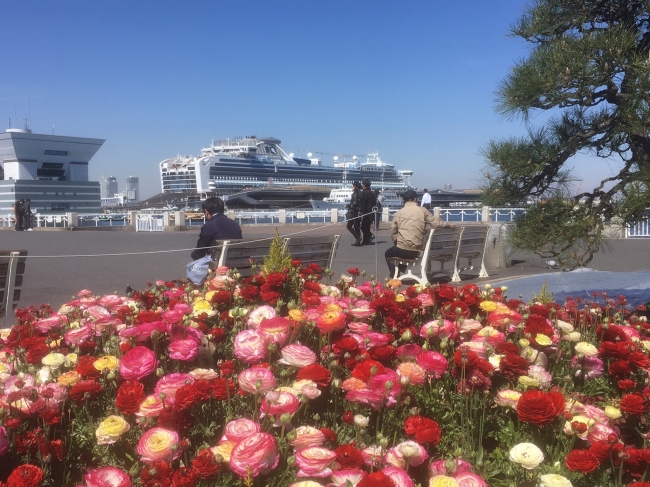 60万本の花が咲き誇る 横浜市全域が花と緑にあふれる ガーデンネックレス横浜19 今週開幕 横浜市のプレスリリース
