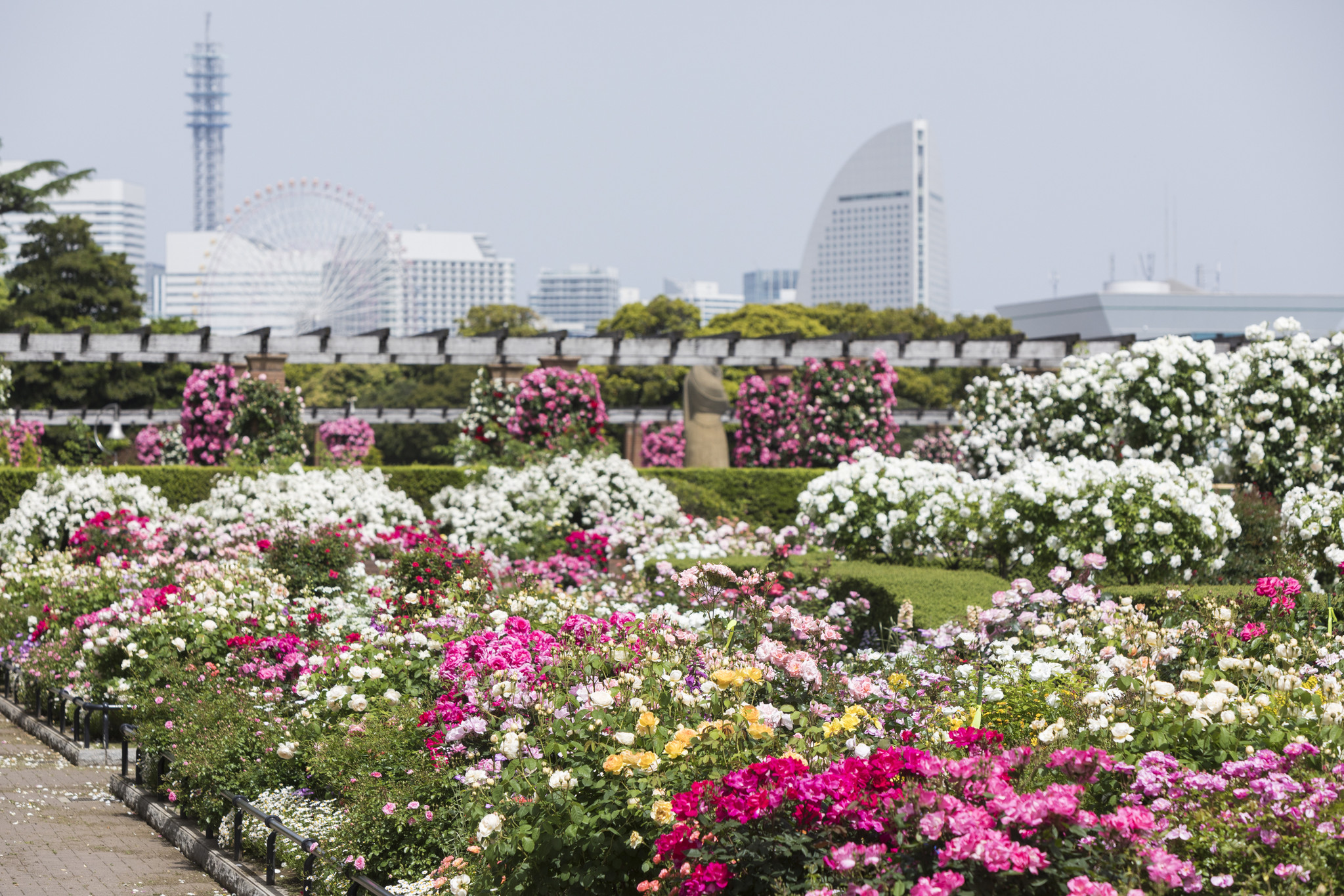 歴史と文化あふれる横浜に60万本の花々が咲き誇る ガーデンネックレス横浜21 3月27日 土 から開催 横浜市のプレスリリース