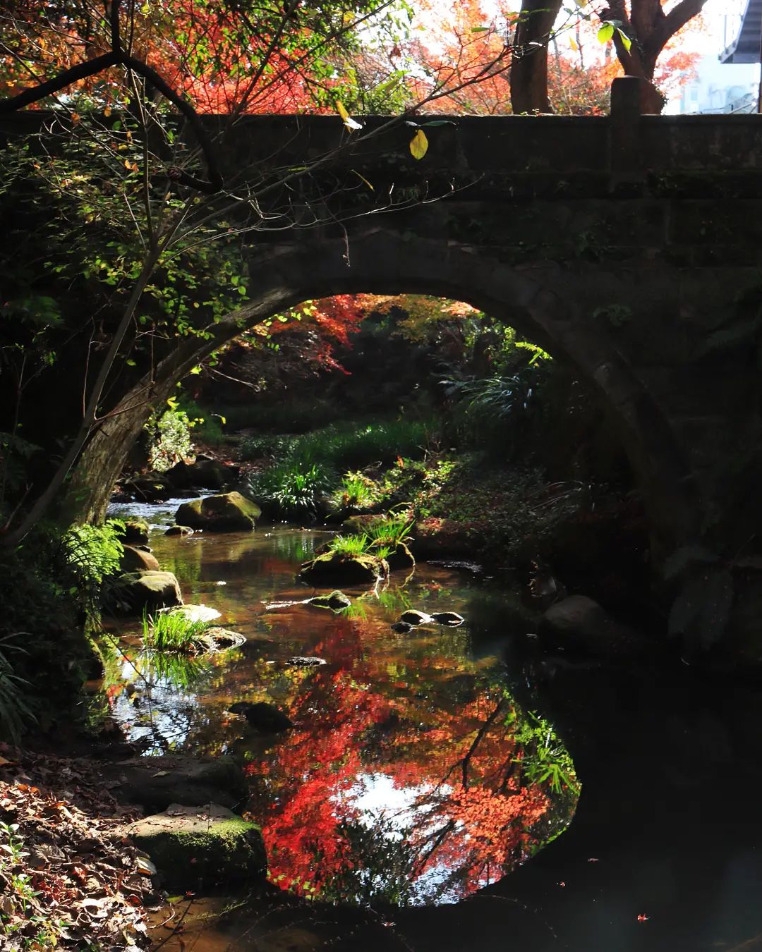 ヨコハマの橋 Instagramフォトコンテスト21の入賞作品決定 横浜市のプレスリリース