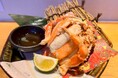 【金沢回転寿司 輝らり】“冬の味覚の女王”『香箱ガニ』が今年も登場！漁期わずか２か月未満の希少な美味を「カニ面」「軍艦巻き」で提供
