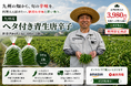 【9月～11月限定】九州産 生とうがらし「ヘタ付き赤・青生唐辛子」各1kgを飲食店様・食品加工事業者様向けに販売