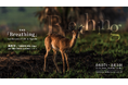 写真展「Breathing」 や「VU ! Ⅴ」ヴ-5!などのイベント開催!