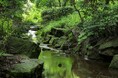 【藤田観光 昭和100年イヤー特別企画 ニュースレター】【第4弾】ホテル椿山荘東京の庭園