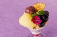 【ホテルグレイスリー新宿】GRACERY LOUNGEでオータムフェア開催「アサイーとさつまいものパフェ」など秋の味覚メニュー9月1日（火）より期間限定でご提供