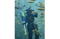 【下田海中水族館】魚たちも楽しみ？今年も仮装ダイバー登場！～魚の餌付けショー“ディスカバリーオーシャン”ハロウィーンVer.～2026 年9 月26 日（土）～10 月31 日（土）