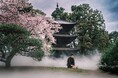 【ホテル椿山荘東京】国登録有形文化財・三重塔に臨む特別な空間で、日本の美意識に触れる　宿泊者限定アクティビティ「ホテル椿山荘東京 みたて茶会」を販売開始