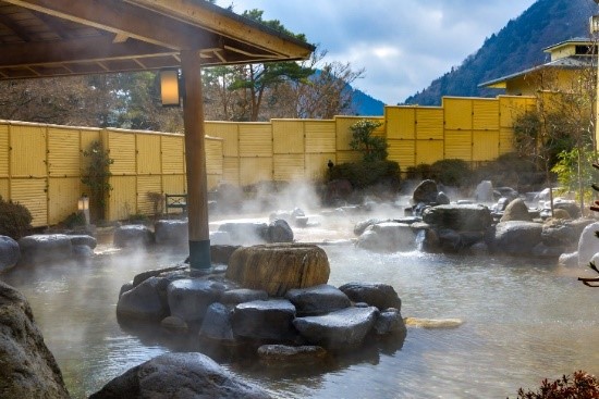 元湯 森の湯 ｊａかながわ西湘 小田原牧場アイス工房 Sdgsな地元名産品コラボ 曽我の梅湯 開催 曽我の梅の人気ジェラートなどがお得になる相互利用キャンペーン実施 藤田観光株式会社のプレスリリース