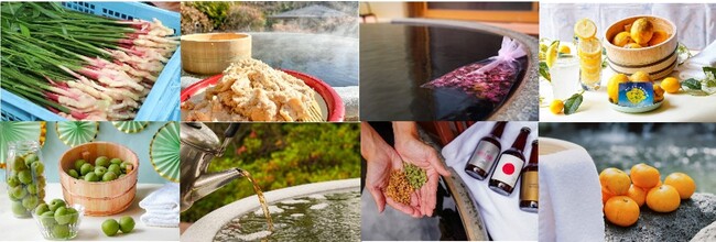 2024年も継続開催いたします！2023年9種の「SDGsな変わり風呂」開催を感謝して　元湯 森の湯「謝恩キャンペーン」開催