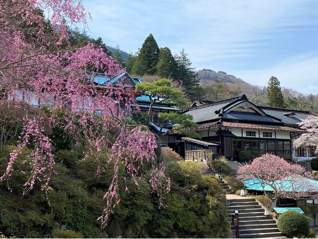 箱根小涌園 三河屋旅館