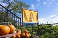 今年も開催!ユネッサン・ハロウィーン2024 「ハロウィーンかぼちゃ風呂」