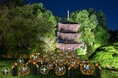 【ホテル椿山荘東京】庭園内に100個の竹まり&かざぐるまが登場!『涼風(すずかぜ)竹あかり』7月16日(水)よりスタート