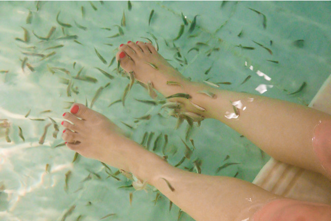 Dr,Fishの足湯 Dr,Fishの足湯