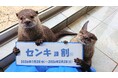 2月8日は衆議院議員総選挙！　下田海中水族館センキョ割2026　あなたの一票で、おトクに入場できちゃう！