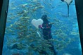 バレンタインデー・ホワイトデー特別企画　～Valentine of Underwater～