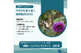 無料ウェビナーを開催します「2025年版 TNFD最新動向と企業が今から始めるべき自然関連情報開示の実践ポイント」