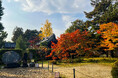初開催! 小野小町ゆかりの寺『大本山 隨心院』を光と和傘で彩る秋の紅葉イベントがスタート!