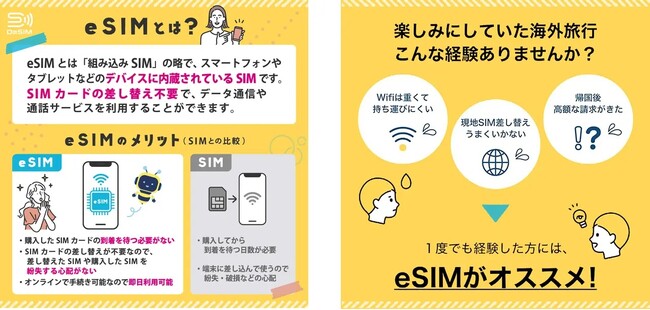 DeSiMのeSIM