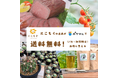 【愛知県半田市】1/15(水)~3/15(土)産直ECサイト「ポケットマルシェ」で半田の農産品が送料無料で購入できます!