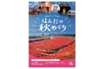 【愛知県半田市】半田の秋を1 日で遊び尽くす「無料周遊バス」が期間限定運行車を置いて秋の半田を周遊！「はんだの秋めぐり」