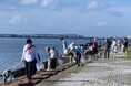 【愛知県半田市】10月19日(土)、涼しい秋の早朝に行う清掃ボランティア活動「水辺クリーン・アップ大作戦」を開催!