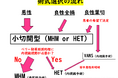 甲状腺手術の「次なる標準」へ――大阪けいさつ病院、小切開MHM法（新Tori法）15年の実績を公開し全国へ情報発信