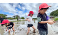 岡山の耕作放棄地が子どもたちの学びの場に 地域企業・農家・保育園が連携した「食農保育プロジェクト」始動