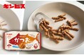 ギンビス初!鰹節だしの本格的な美味しさを味わえるノンフライスナック「にんべん」×「ギンビス」コラボ商品「カリッとかつおだし」を9月9日発売