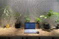 働く人と環境にポジティブな変化を届ける新プロジェクト『Grow & Glow~育てて、輝く~』6月2日より始動オフィスデスクで育てる、ミニ観葉植物を販売