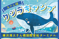 夏休み！第4回 大さん橋クジラキャンプ 開催！クジラの生態・水の循環も学べる体験型イベント