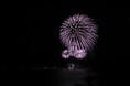 本日9月24日から宿泊予約受付開始。「1夜限りの特別宿泊プラン」西日本最大級の20号玉の打ち上げ花火を愉しむ江田島荘ステイ