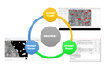 【画像解析支援システム「SEGMAT」を大幅リニューアル】Insight・Engine・Viewerの3モジュール構成でワンストップAIセグメンテーションを実現!