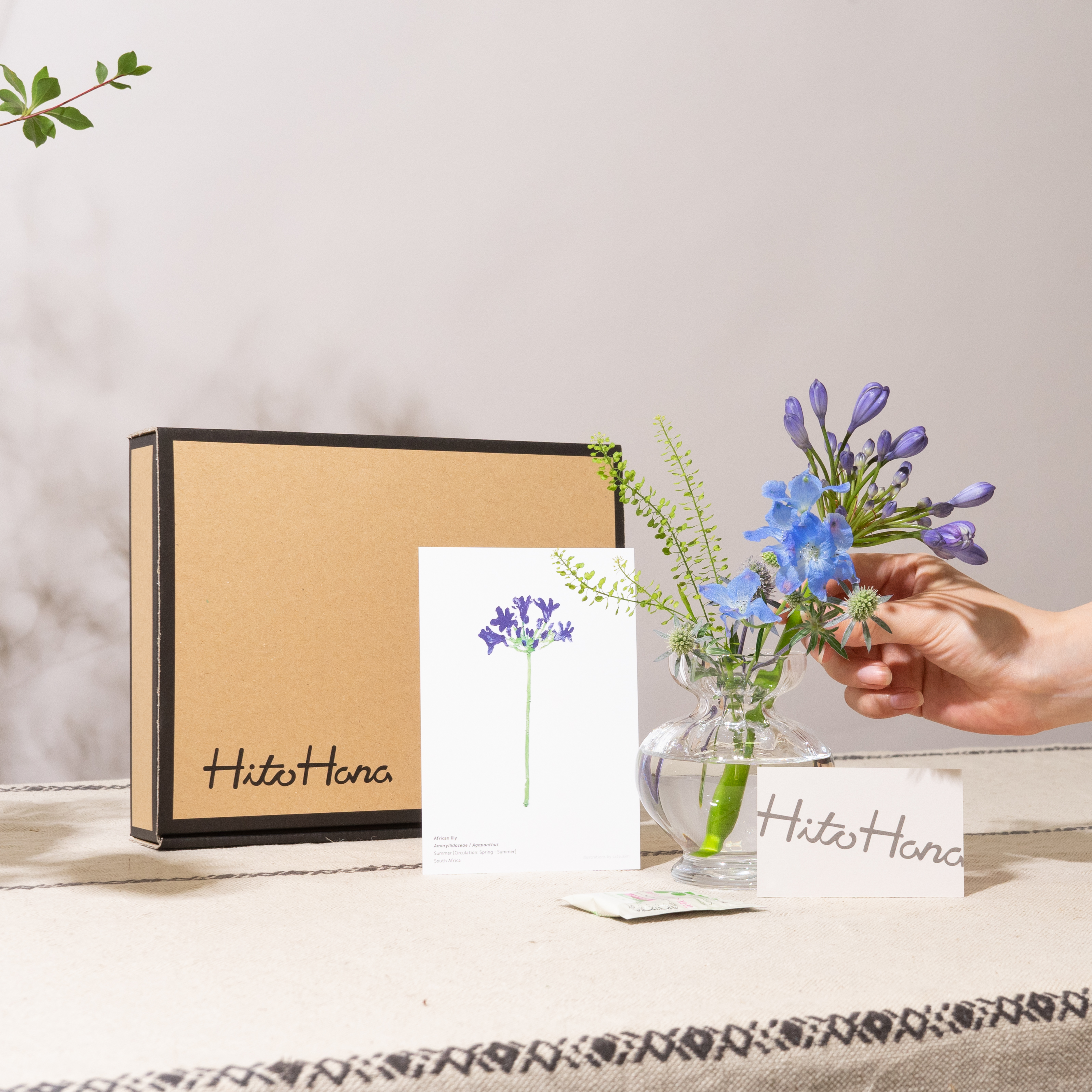 リリースから約半年で1万人以上が契約 人気のhitohana お花の定期便 から新たに990円 税 送料込 のコースが開始 株式会社beer And Techのプレスリリース