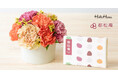「HitoHana × 都松庵」母の日限定ギフトセットを発売。“心を彩る”フラワーギフトと、“やさしい甘みの和菓子”を添えて届ける、ありがとうの気持ち