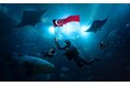 リゾート・ワールド・セントーサのシンガポール・オーシャナリウムのチケットが販売開始に伴い、新しい体験を紹介
