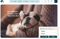 【獣医師の約7割が反対】見た目のために切られる犬のしっぽと耳