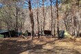 秋本番！キャンプ＆焚き火のベストシーズン到来！富士山の麓・樹海の森のキャンプ場「キャンプあかいけ」で、ソロキャンパーだけの特別な週末「ソログルキャン2026」10月16日（金）～18日（日）開催