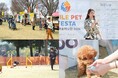 「第2回スマイルペットフェスタin曽根丘陵公園2026秋」2026年10月31日(土)・11月1日(日)の2日間開催！