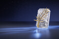 【Chopard】誕生70周年を迎える映画界の象徴「パルム・ドール」