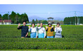 今村茶園「令和6年鹿児島県茶品評会」にて九州農政局長賞・県茶生産協会長賞受賞