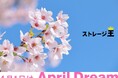 「トランクルーム」で叶う!荷物の保管とシェアでサスティナブルな社会を作るbyストレージ王