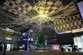 【新潟県長岡市】夜がきらめく特別な季節 Aollumination2024-2025 11月15日(金)から開催