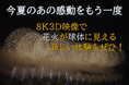 【新潟県長岡市】長岡花火8K3D映像上映会 11月25日(月)から期間限定で開催