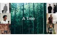 中村圭佑率いるDAIKEI MILLSとの協業 一本の木から始まる、アートプロジェクト「A Tree」第二フェーズ
