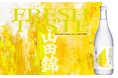 独自開発酵母が生み出す、しぼりたてを想起させる華やかな香り「特撰 白鶴 特別純米 生貯蔵酒 山田錦」を2026年9月11日に新発売！