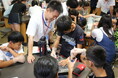 「環境研修会2026 in琵琶湖博物館」を8月1日（土）に開催！