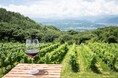 【長野県東御市】地域の魅力を“旅の物語”へ　自然・歴史・食・ワインを伝えるローカルガイドを育成