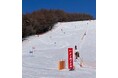 【長野県東御市】2026年3月1日（日）第63回 湯の丸スキー大会開催